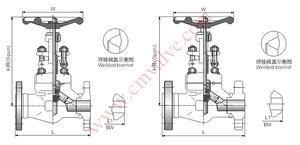 J41H锻钢法兰截止阀外形结构示意图