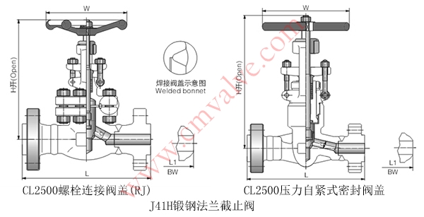 J41H锻钢法兰截止阀CL2500外形结构示意图