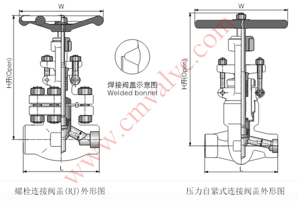 J61H锻钢焊接截止阀CL2500外形结构示意图