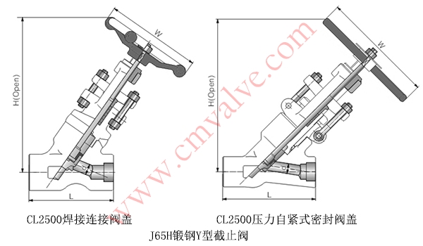 J65H锻钢Y型截止阀CL2500外形结构示意图