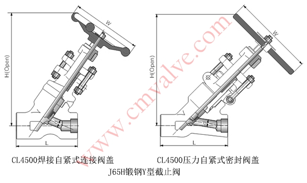 J65H锻钢Y型截止阀CL4500外形结构示意图