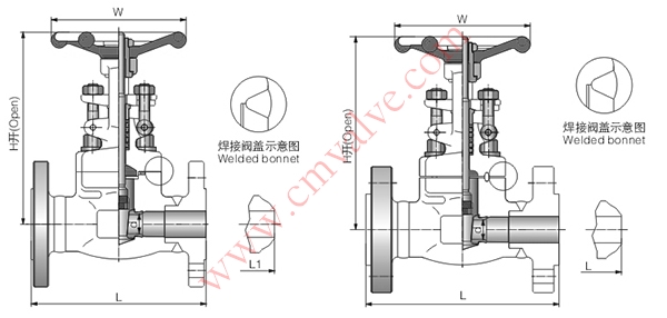 Z41H锻钢法兰闸阀外形结构示意图