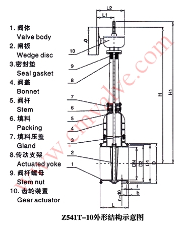 Z541T铸铁明杆闸阀外形结构示意图