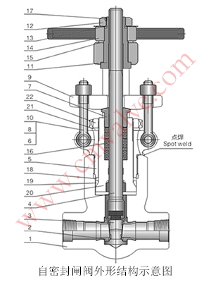 Z61Y锻钢自密封闸阀外形结构示意图